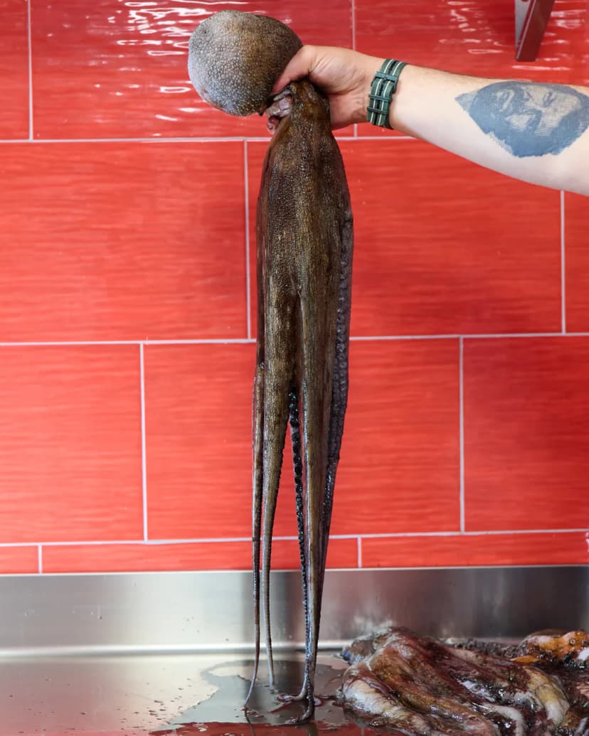 Pulpo fresco en la cocina