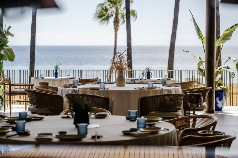 Terraza con mesas frente al mar y palmeras