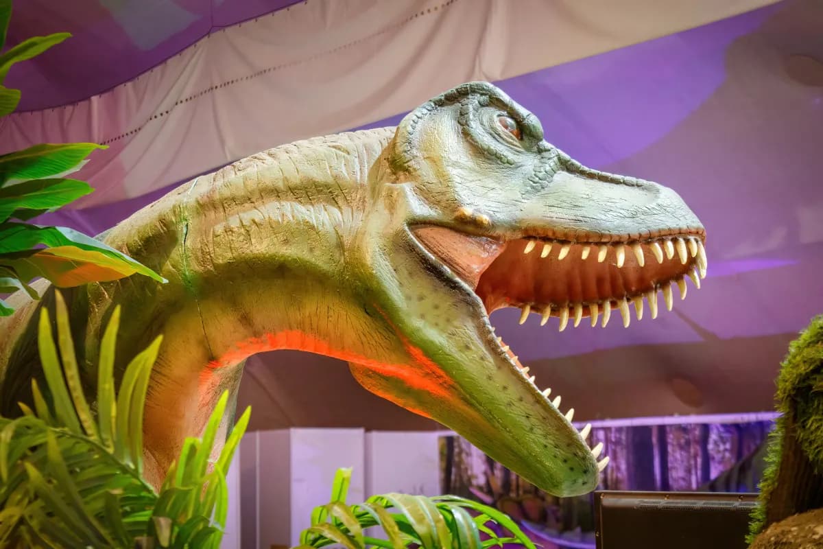 DINOEXPO XXL