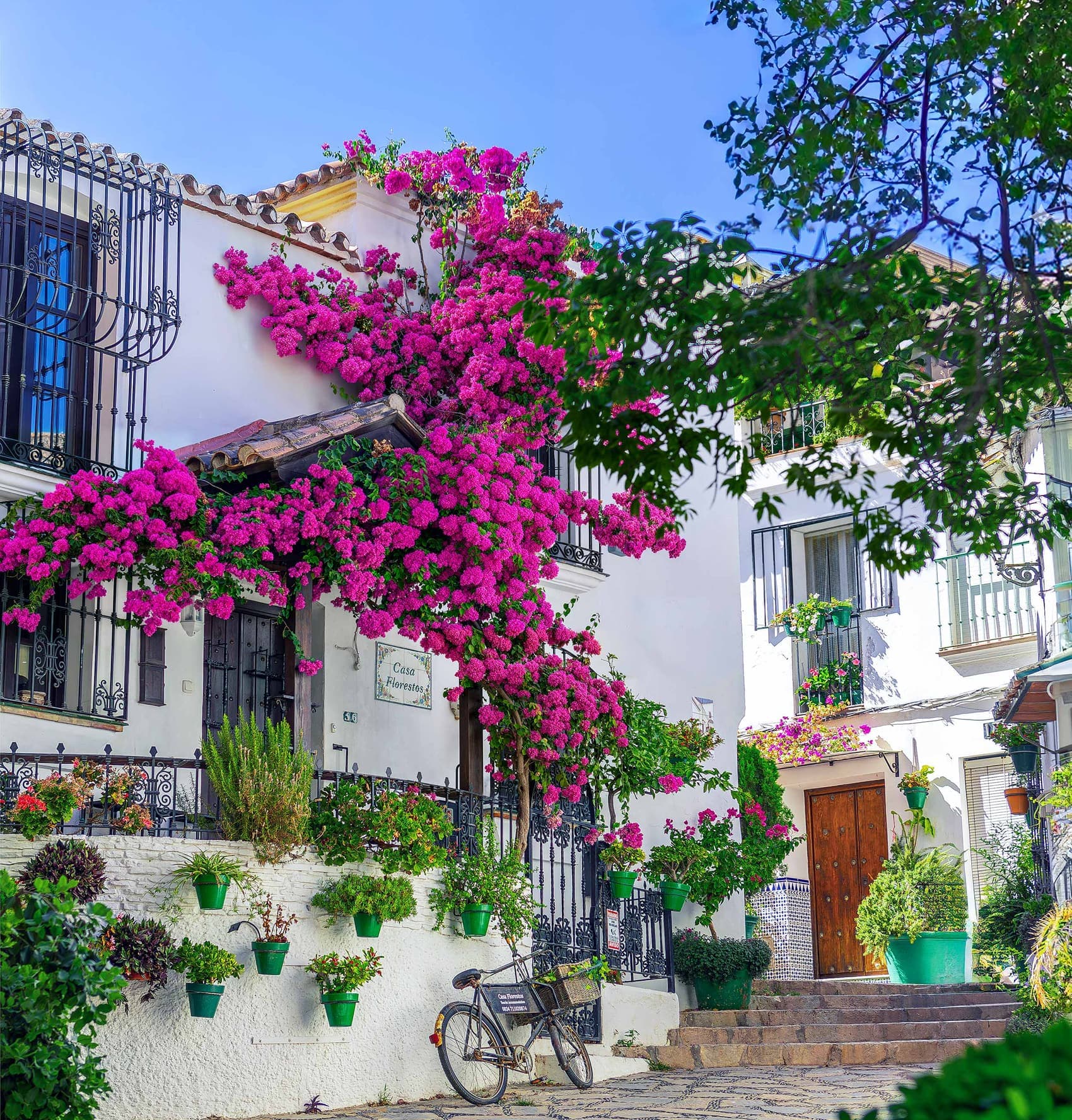 Weiß getünchte Fassade in der Altstadt von Estepona, überwachsen von fuchsiafarbener Bougainvillea, mit grünen Blumentöpfen, schmiedeeisernen Gittern und einem Fahrrad an der Mauer