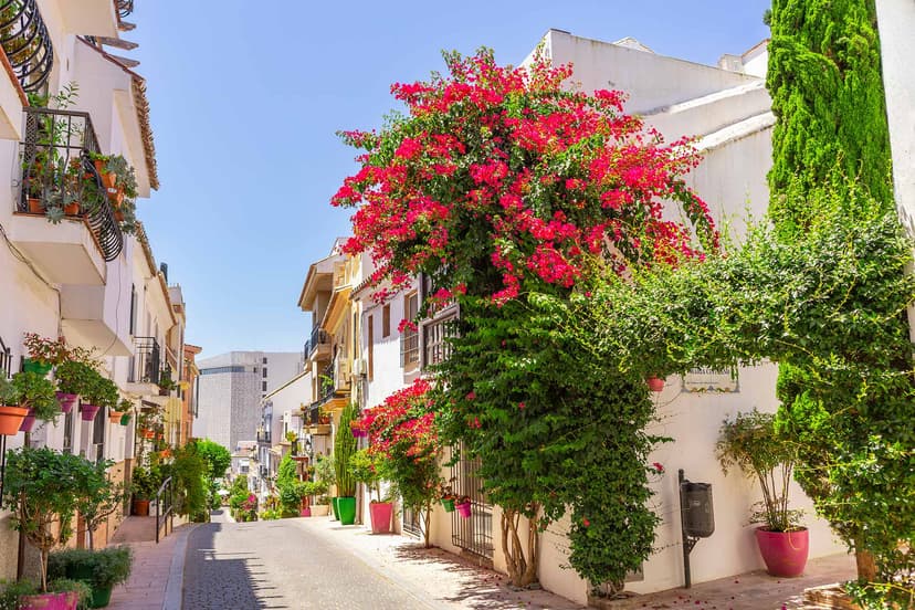 Calle florida del casco de Estepona con buganvilla rosa espectacular.