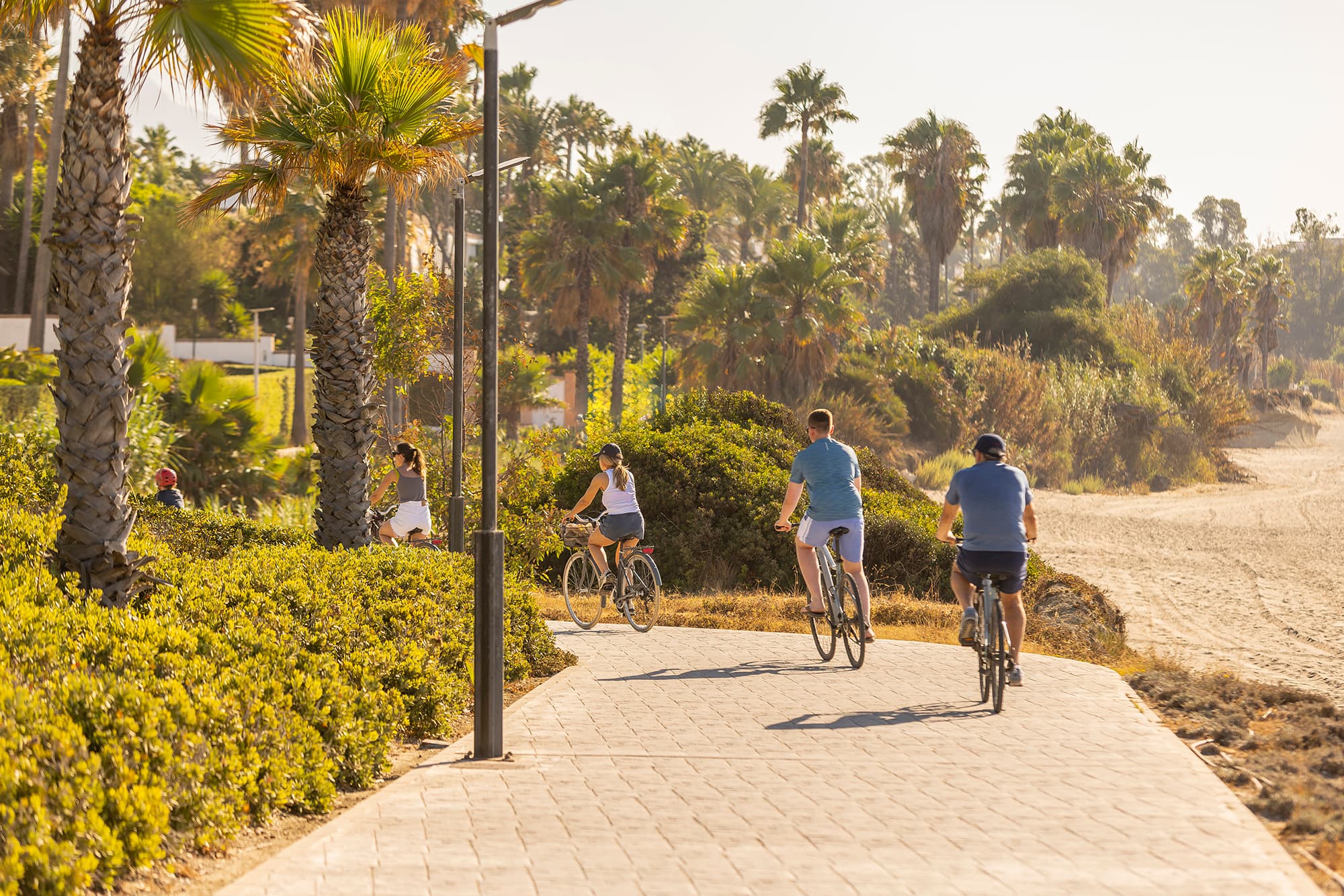 Senda litoral de Estepona entre palmeras, con ciclistas y la playa al lado