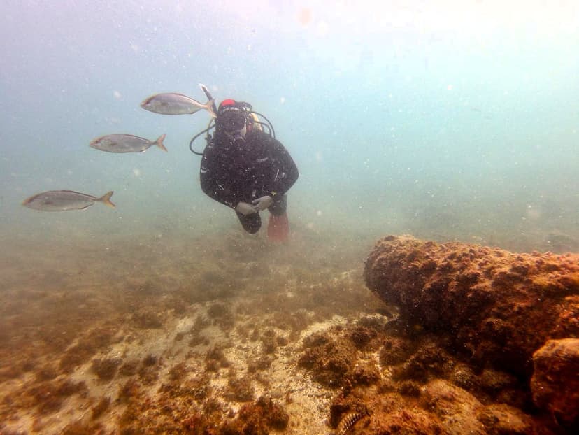 Buceador de Estepona Dive Center rodeado de un banco de peces junto a la costa