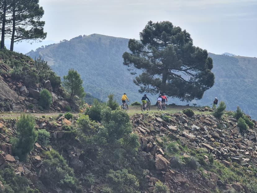 Ciclistas de montaña en ruta por senderos de la sierra de Estepona