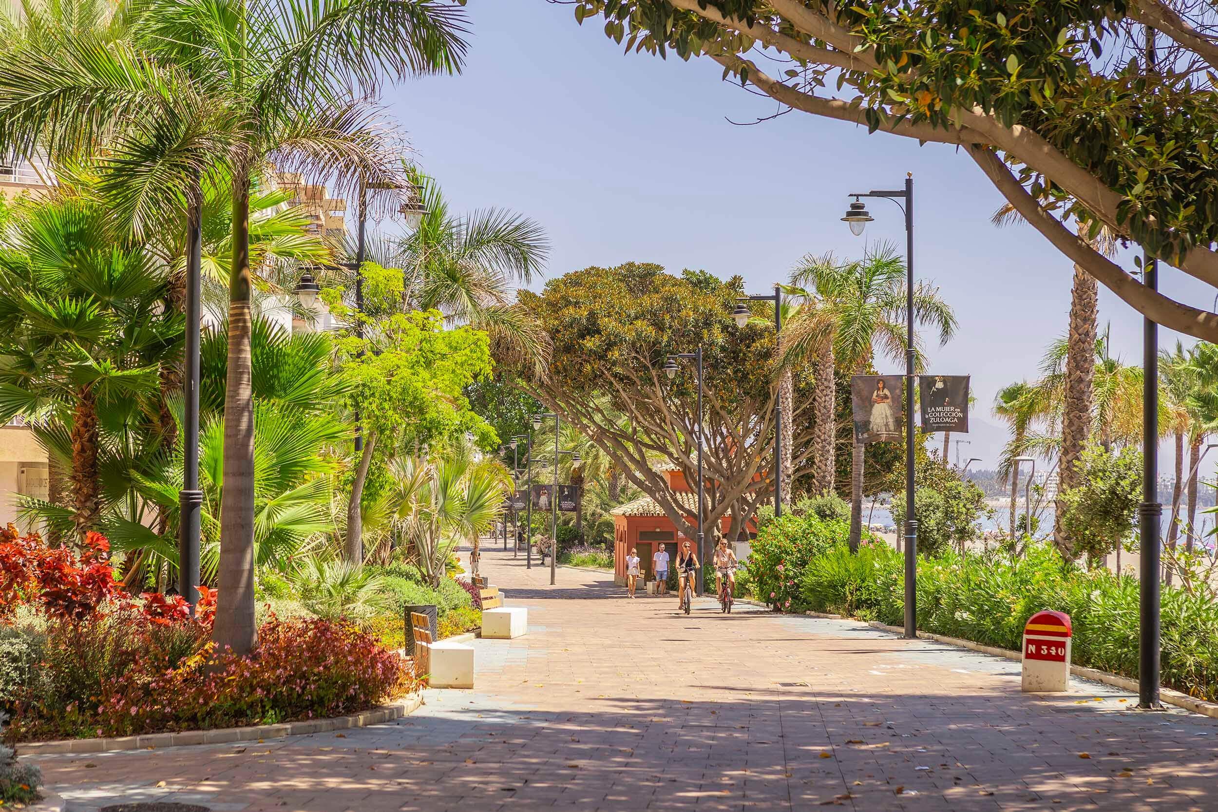 Seafront promenade in Estepona with palm trees.