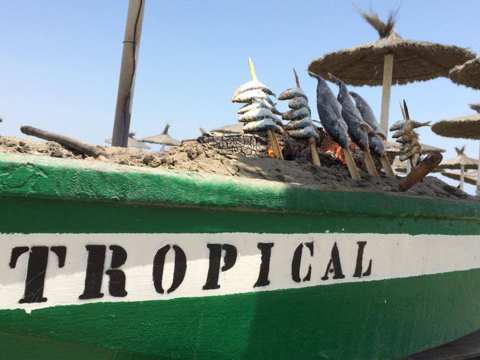Tropical