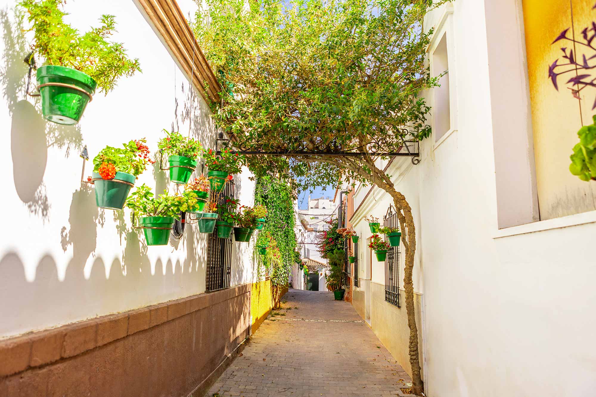 Callejuela del casco de Estepona con árbol arqueado sobre la calle.