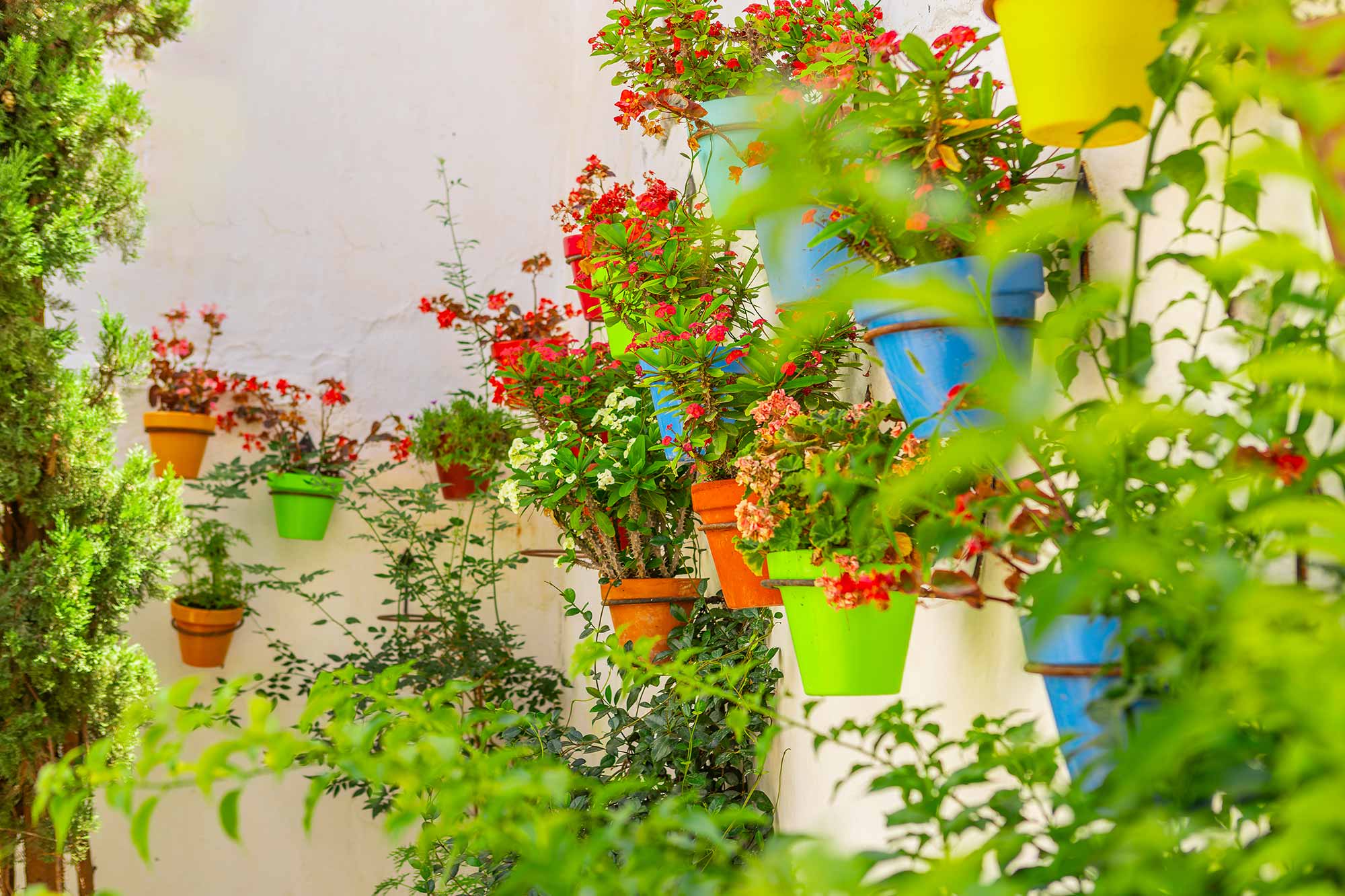 Detalle de macetas coloridas en fachada blanca del casco de Estepona.