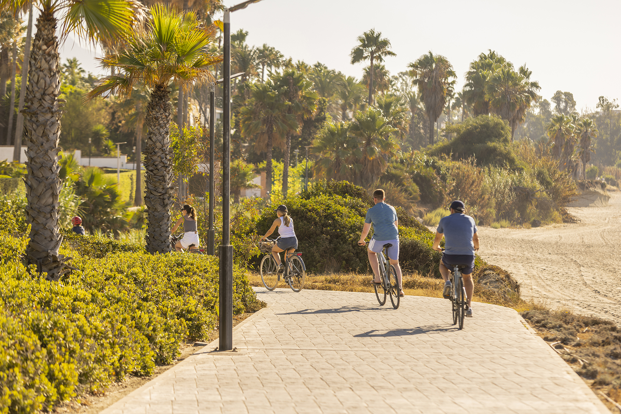 Senda Litoral de Estepona con ciclistas y palmeras al atardecer.